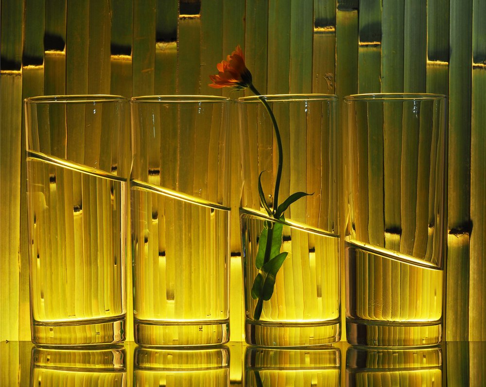 Photograph by Елена Ржевская