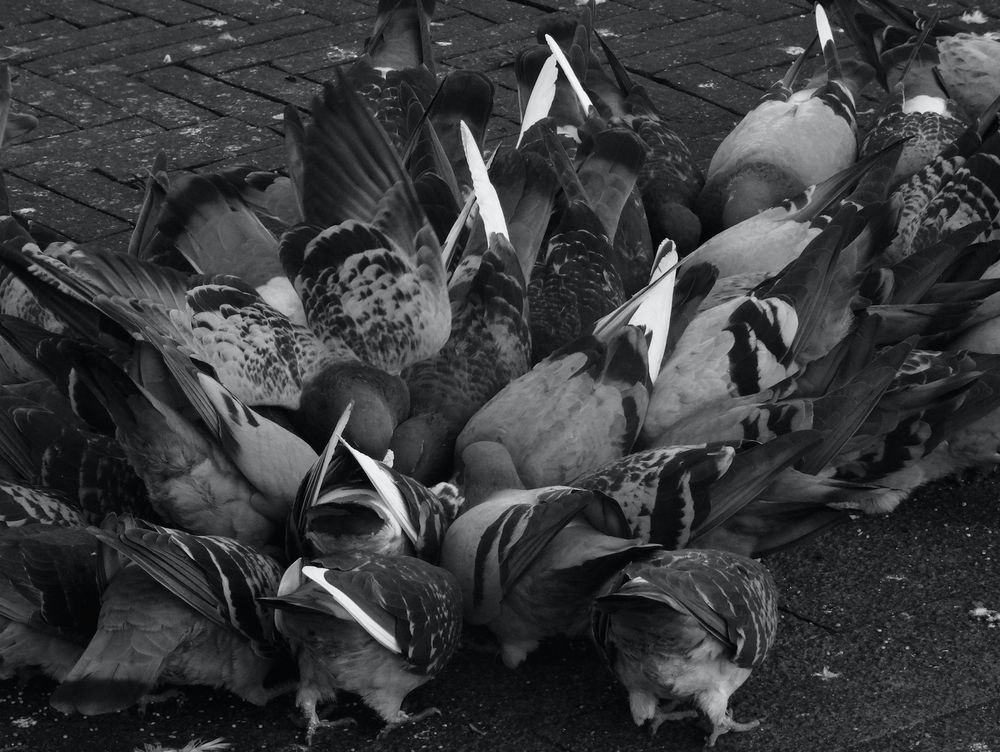 Photograph by Sona Sahakian