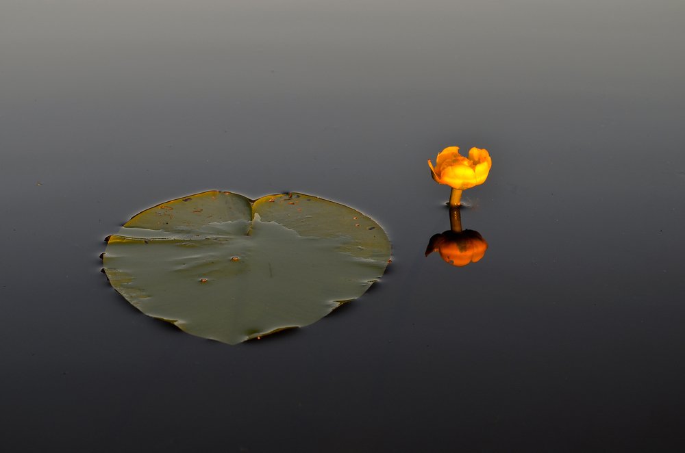 Принцесса (in minimal)