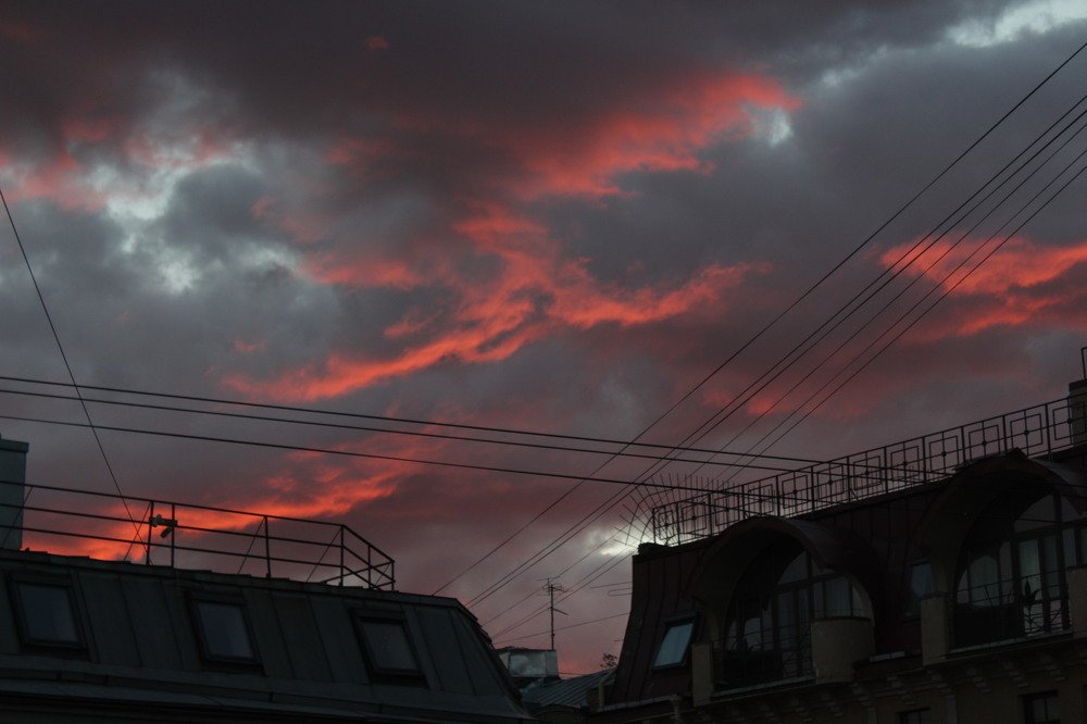 Photograph by Frida Abraamyan