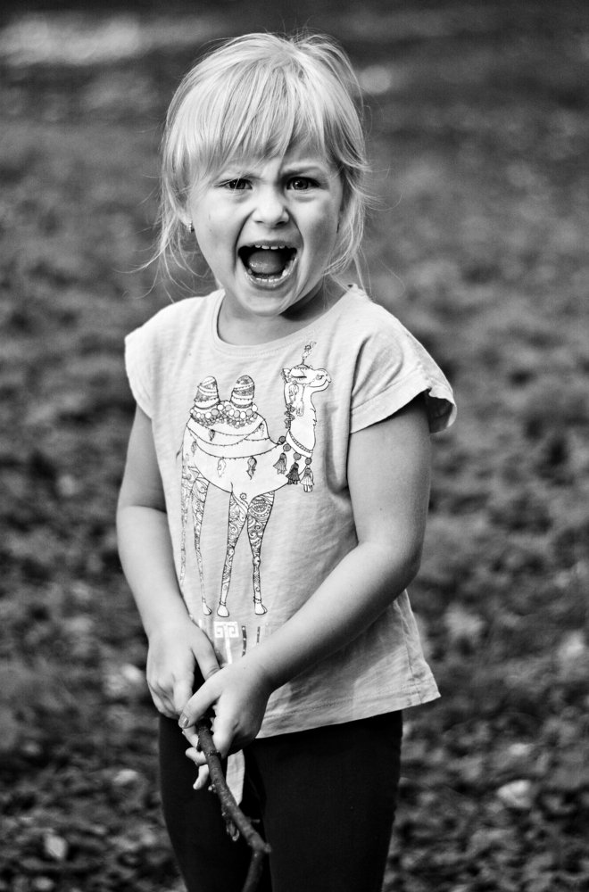 Фотография автора Глеб Рубашкин