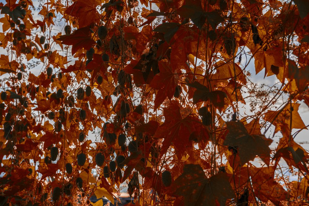 Photograph by Нурлан Мирамов