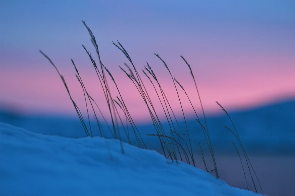 Photograph by Inna Kristiansen