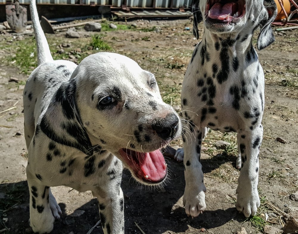 Photograph by Нурлан Мирамов