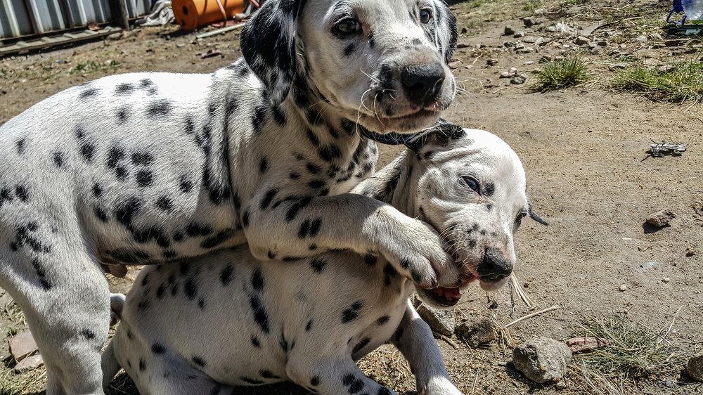 Photograph by Нурлан Мирамов