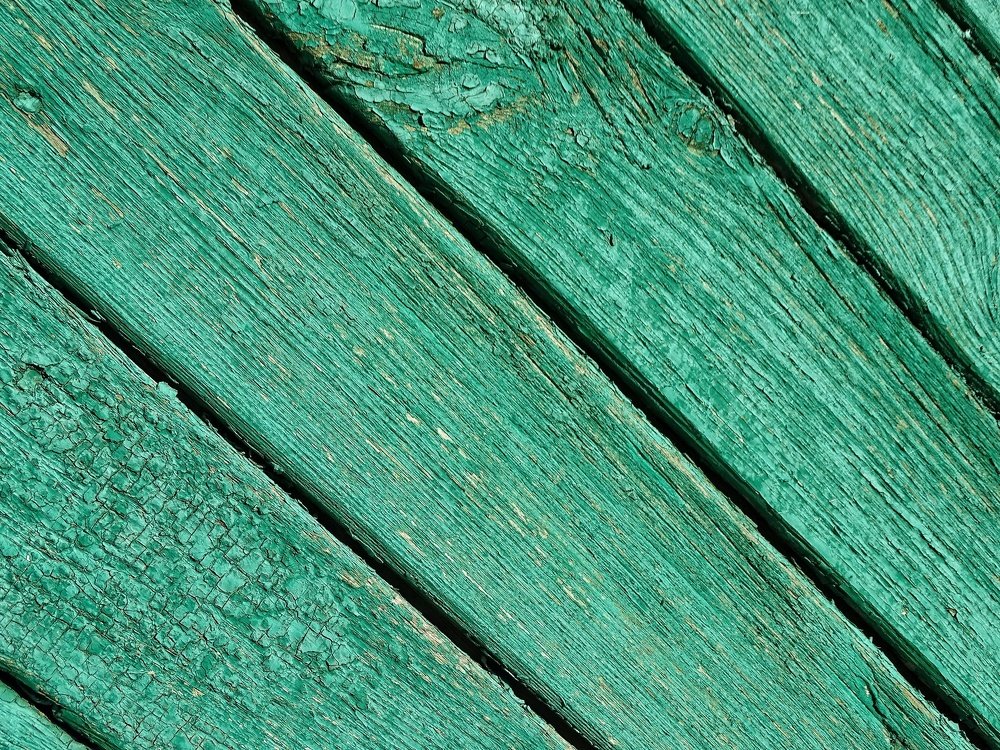 Photograph by Нурлан Мирамов