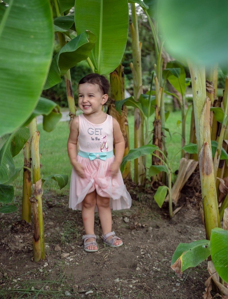 Среди деревьев