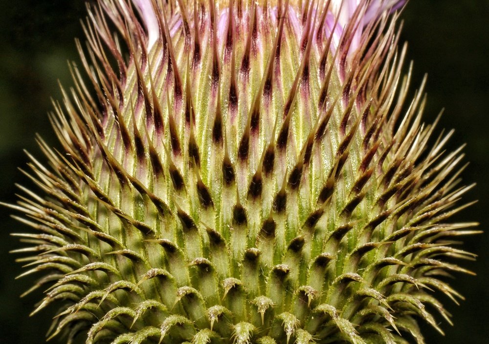 Photograph by Нурлан Мирамов