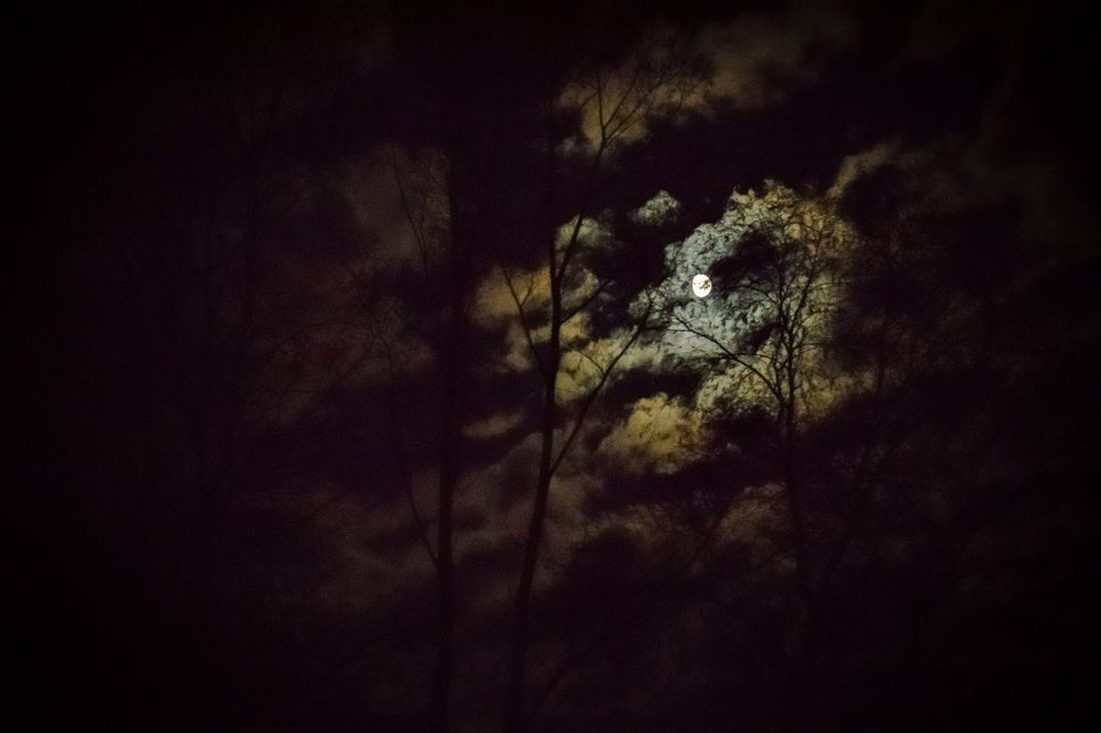 Photograph by Serhij Kharchenko