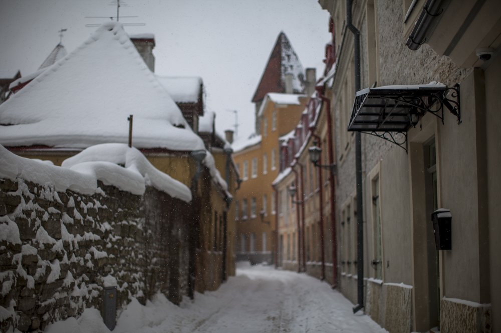 Photograph by Геннадий