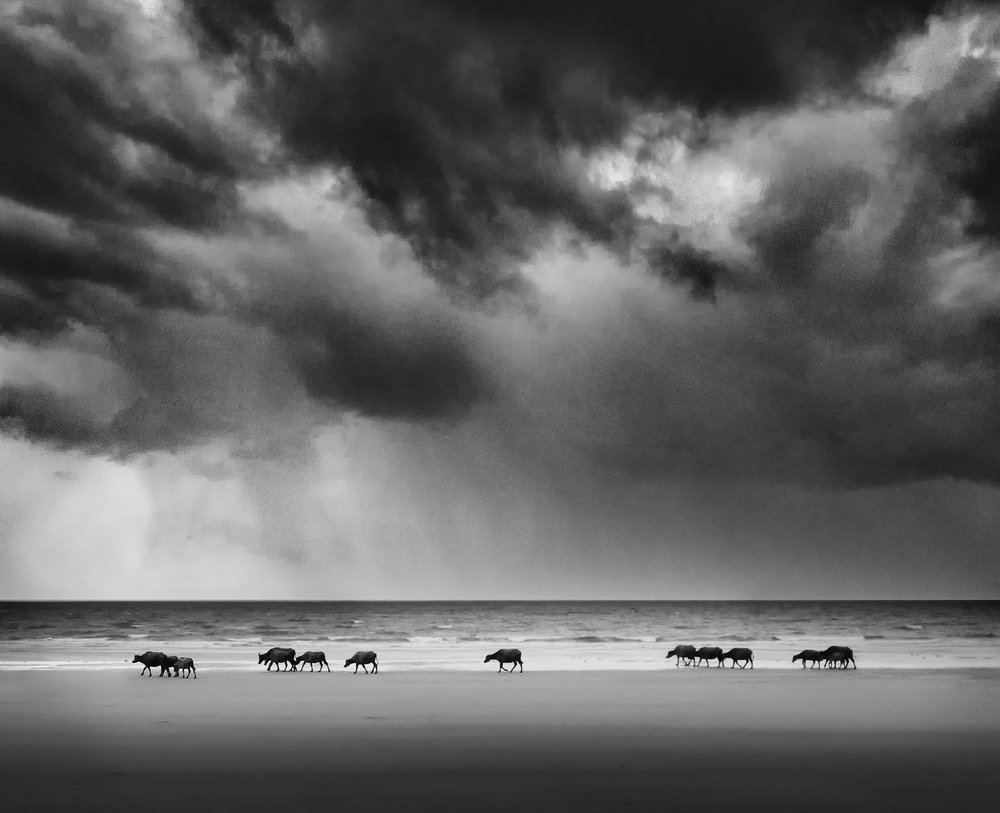 Photograph by Ervin Moung