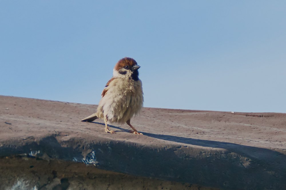 Photograph by Алексей Приешкин