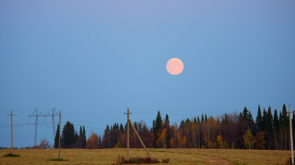 Photograph by Алексей Приешкин