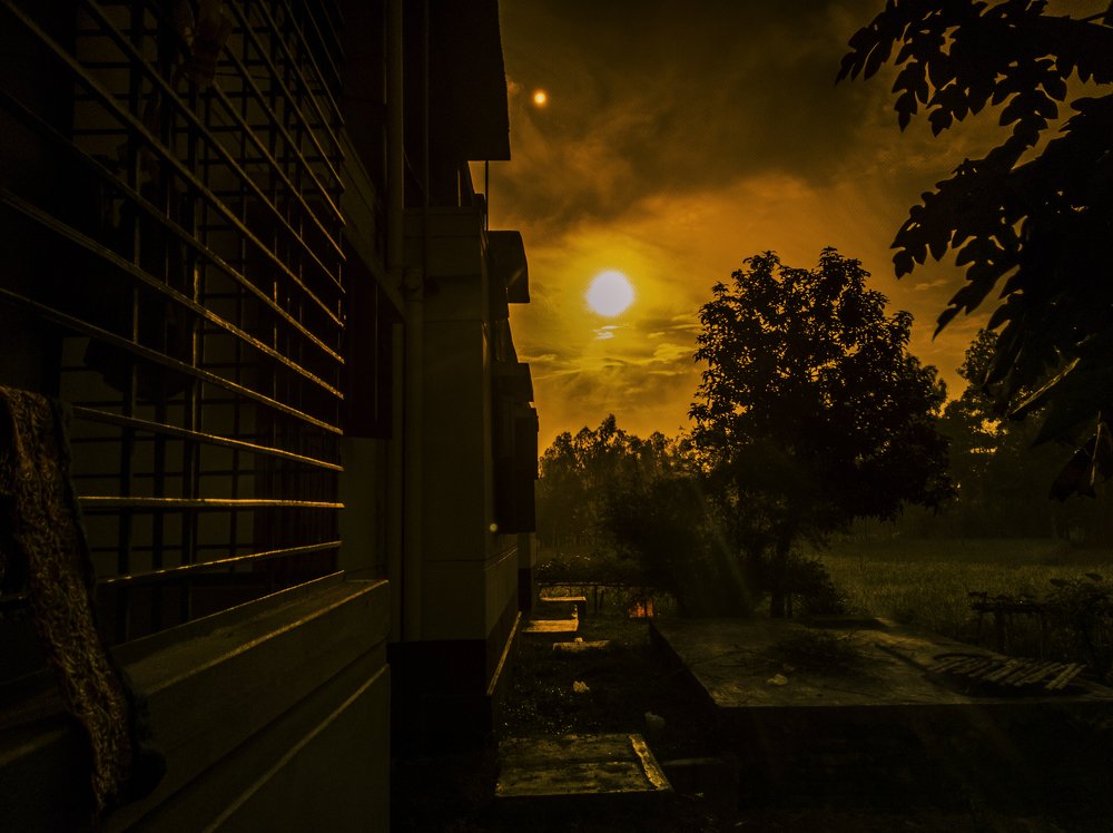 Photograph by Md Abu Sayeed Mondal