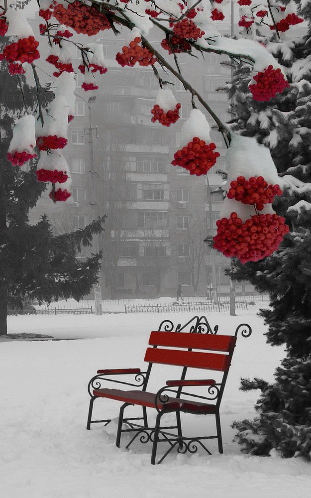 Photograph by Сергей Фунтовой