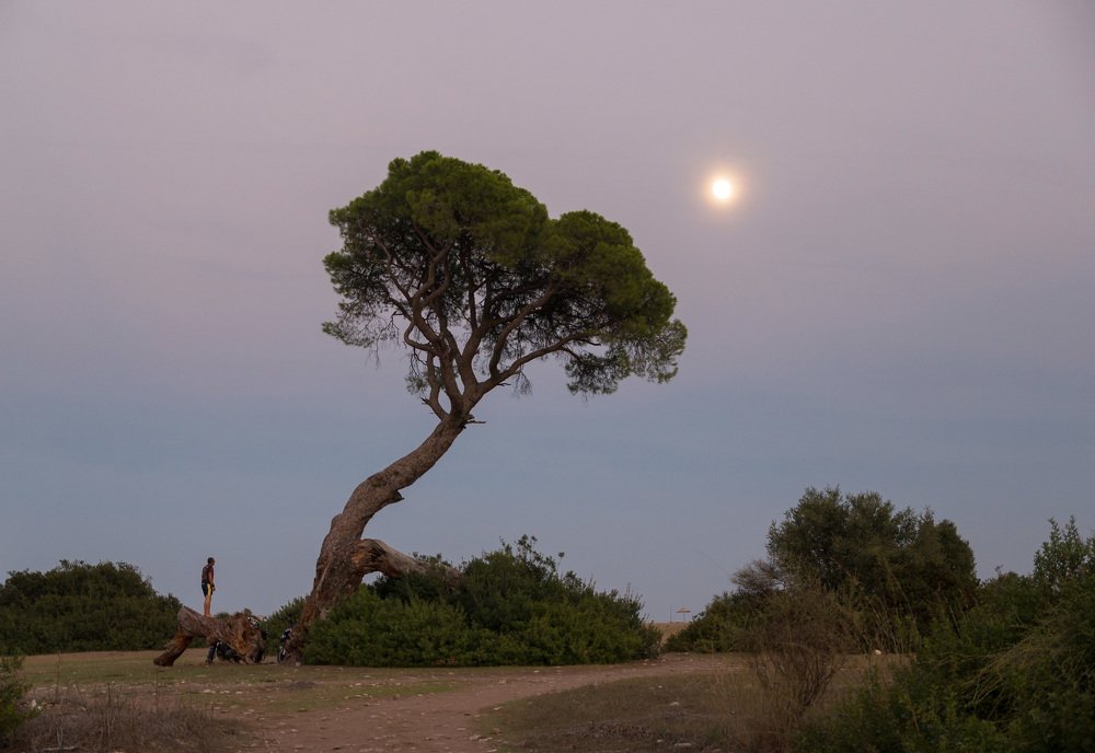 Photograph by Виктор Петров