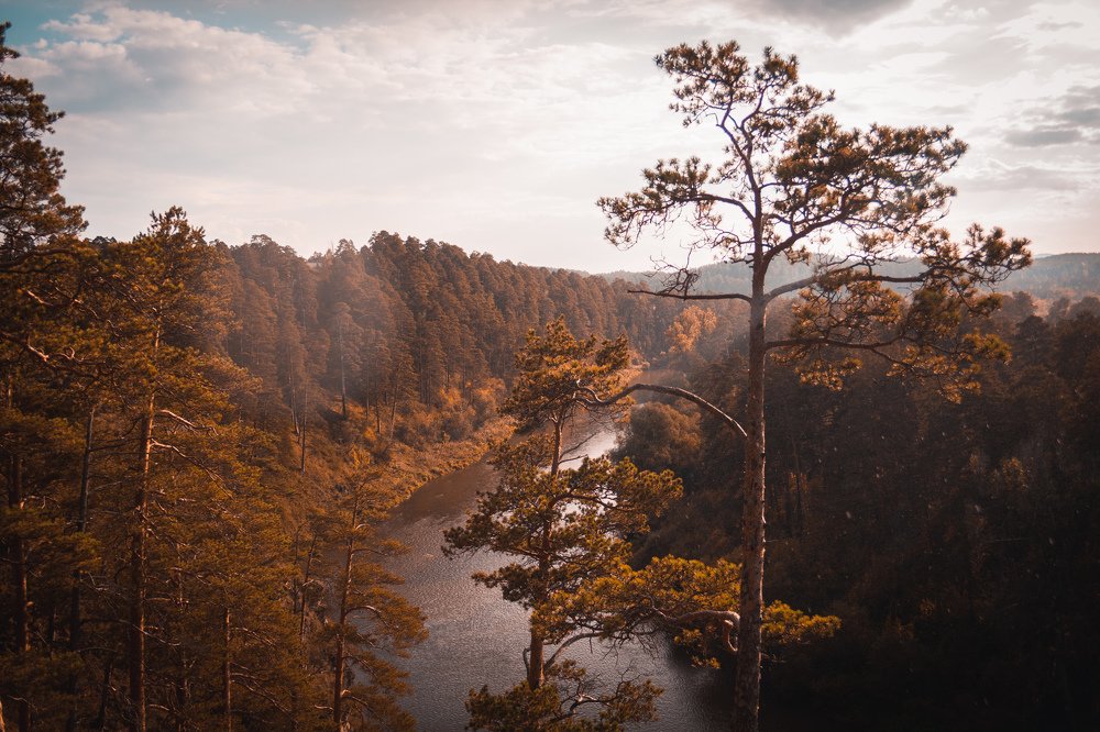 Photograph by Владислав Богаткин