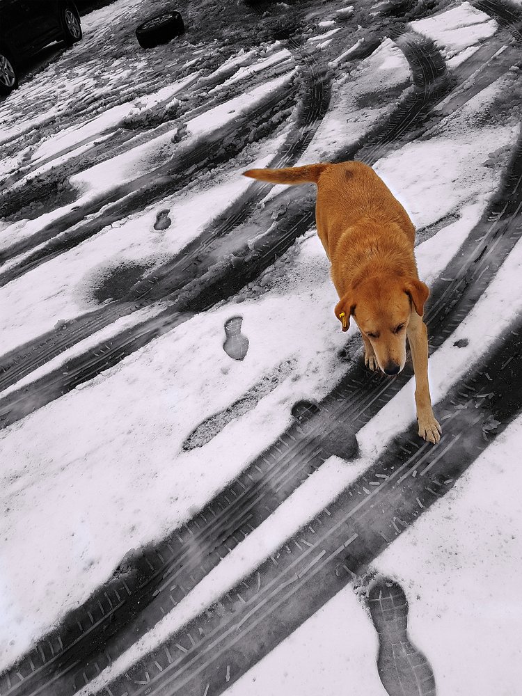 Photograph by Anatoly Biryukov