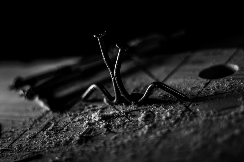 Photograph by Amir Hossein Geranmayeh