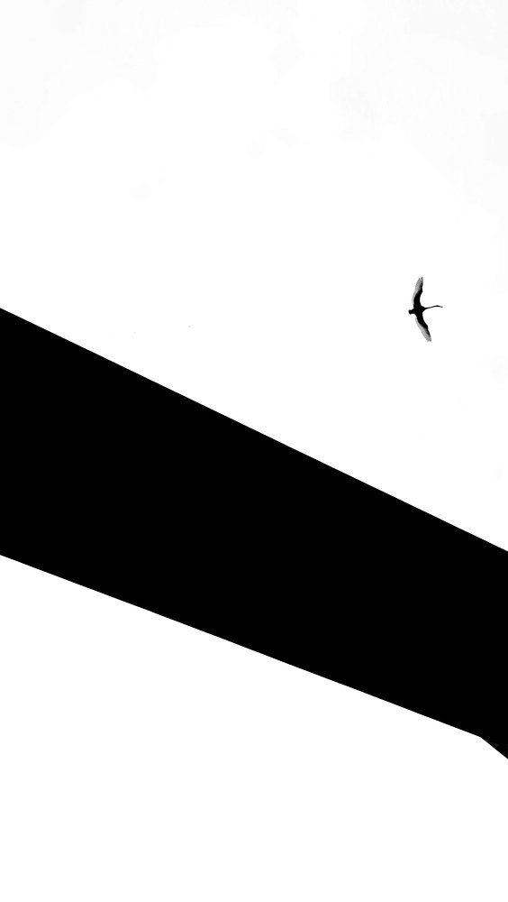 Photograph by Diana Kondra