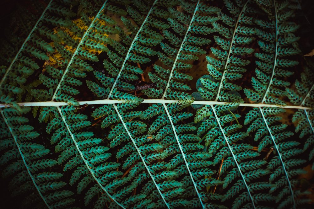 Photograph by Александр Попович