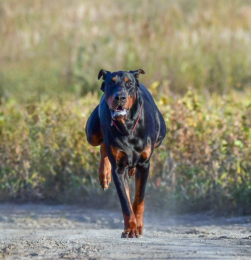 Photograph by Елена Осколкова