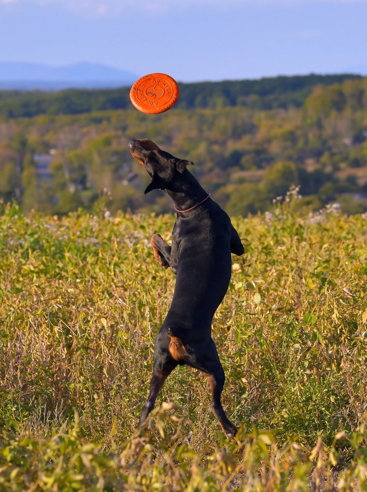 Photograph by Елена Осколкова