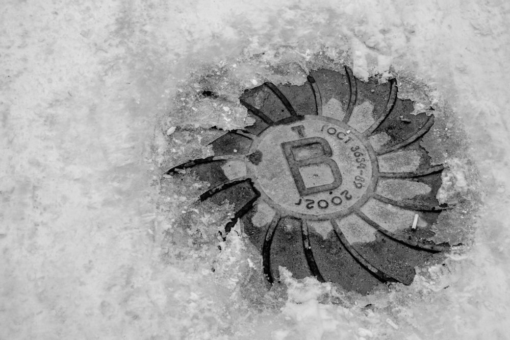 Фотография автора Алена Гамоля