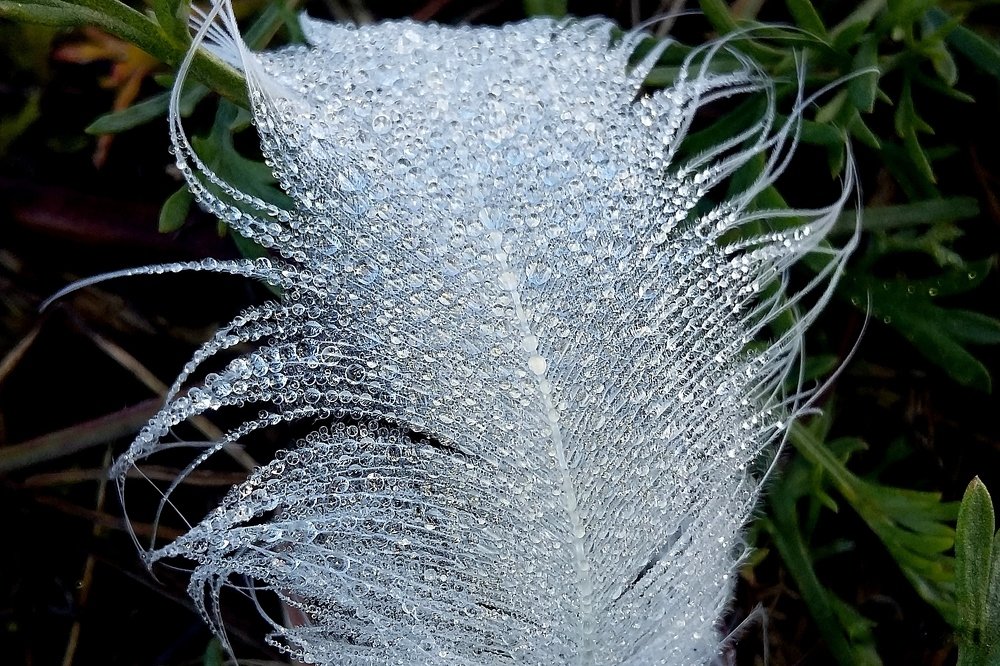 Фотография автора Ольга Завадилика