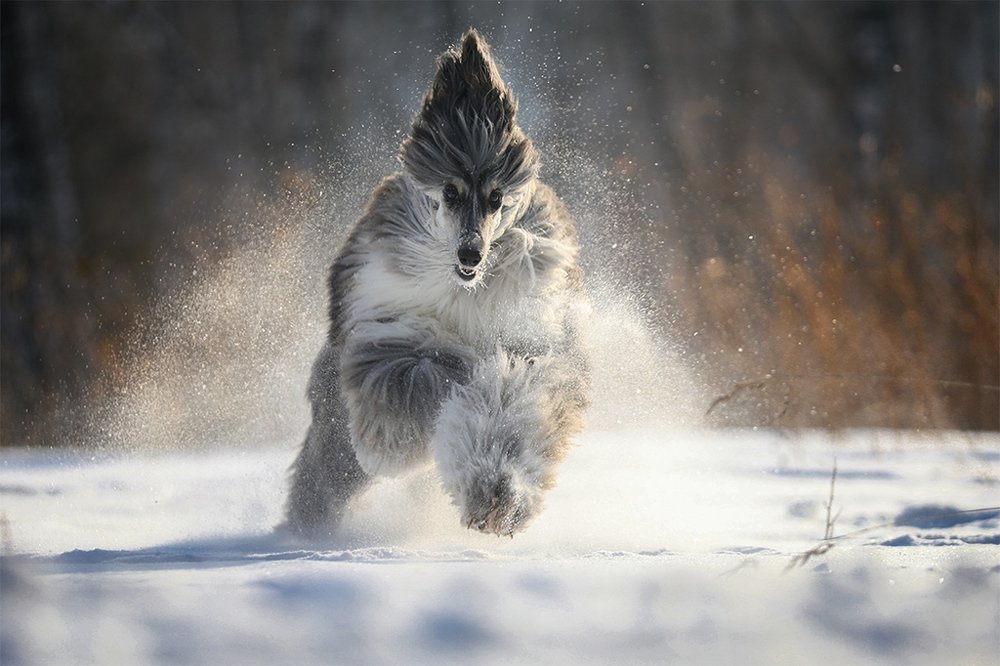 Photograph by Андрей Ершов