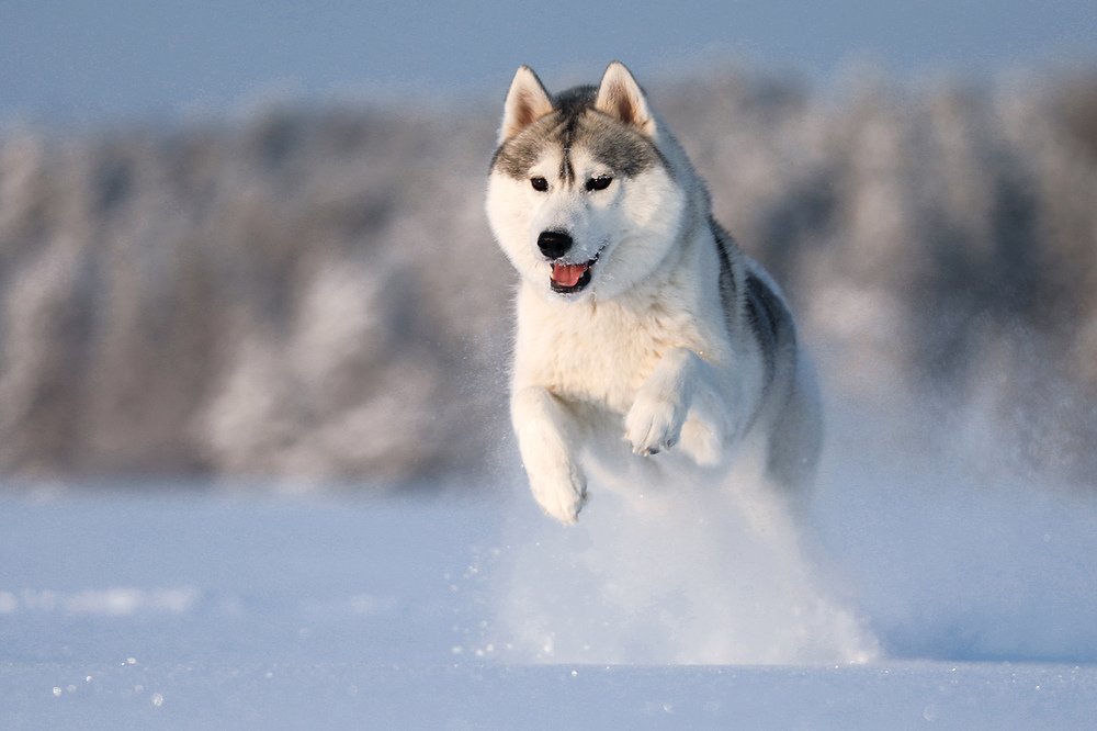 Photograph by Андрей Ершов