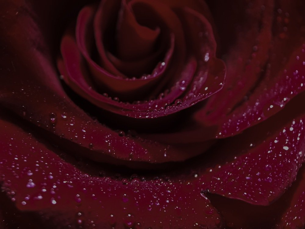 Photograph by Кристина Ковальчук