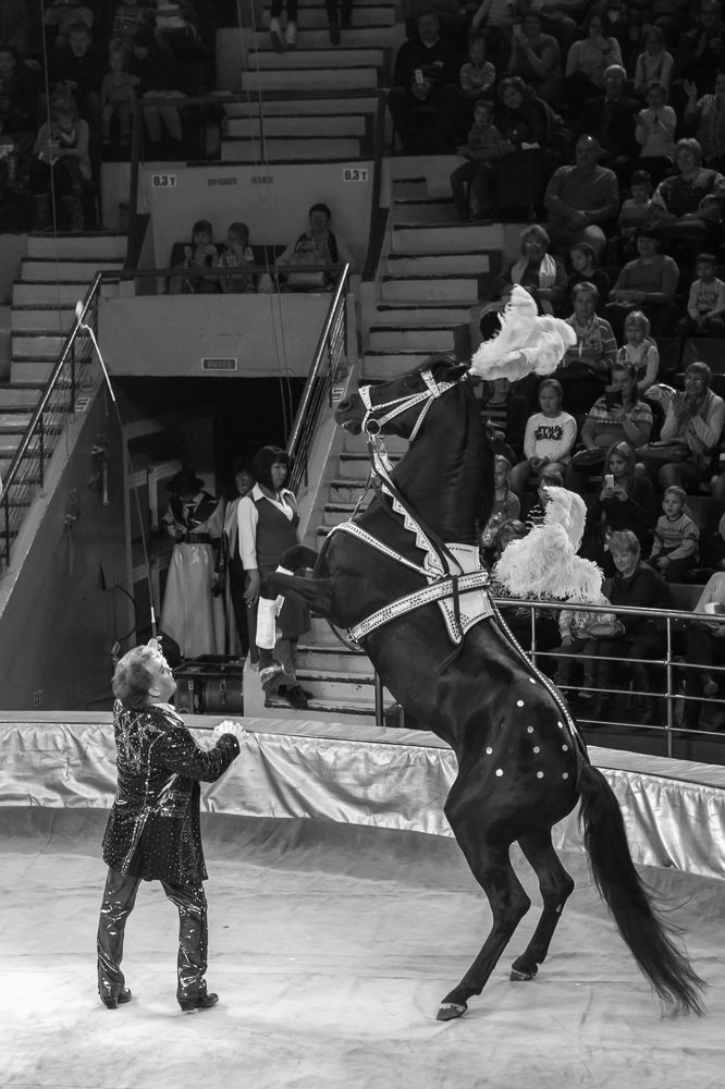 Photograph by Елена Шишова