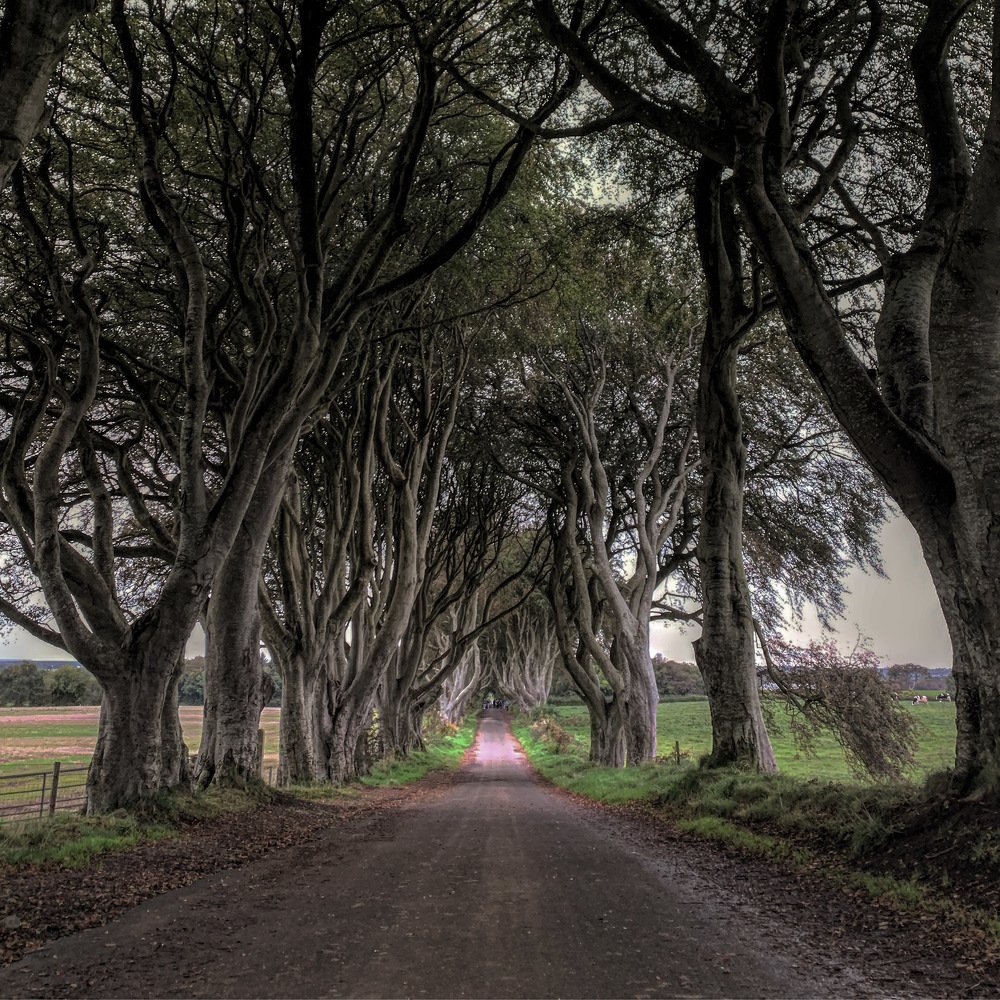 Photograph by Paulo Siqueira