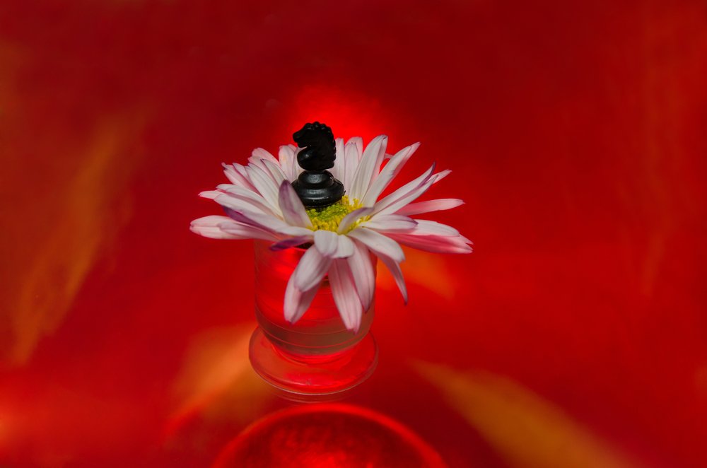 Photograph by Руслан Тимошенко