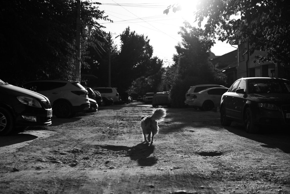 Photograph by Анна Чеснокова