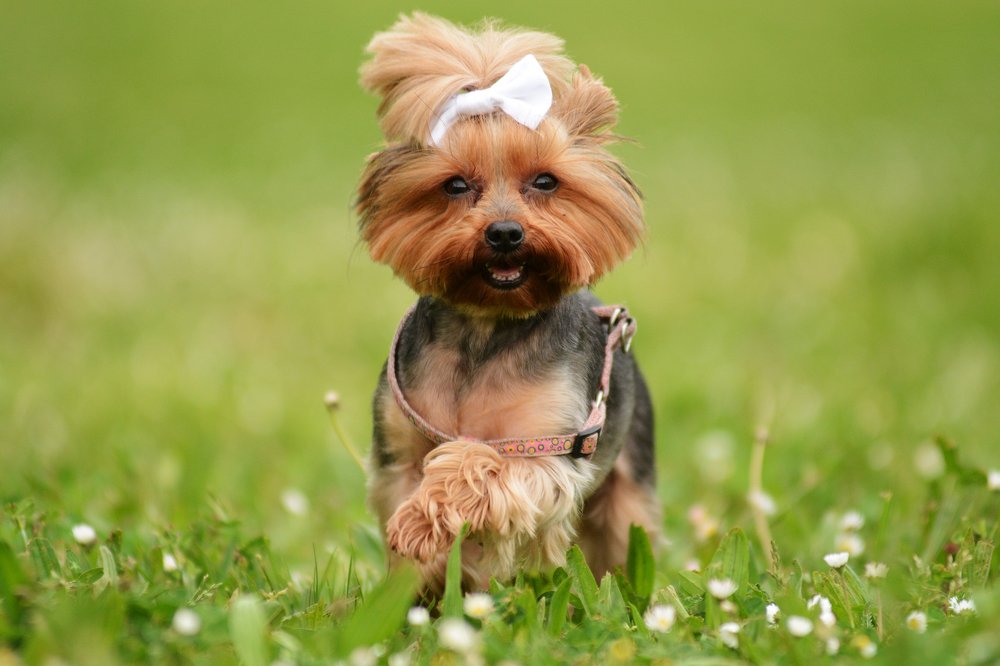 Photograph by Gilicze Tamás