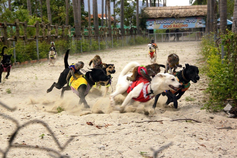 Photograph by Валерия Генрисова