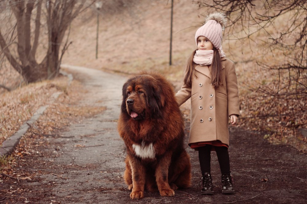 Photograph by Ксения Решетова