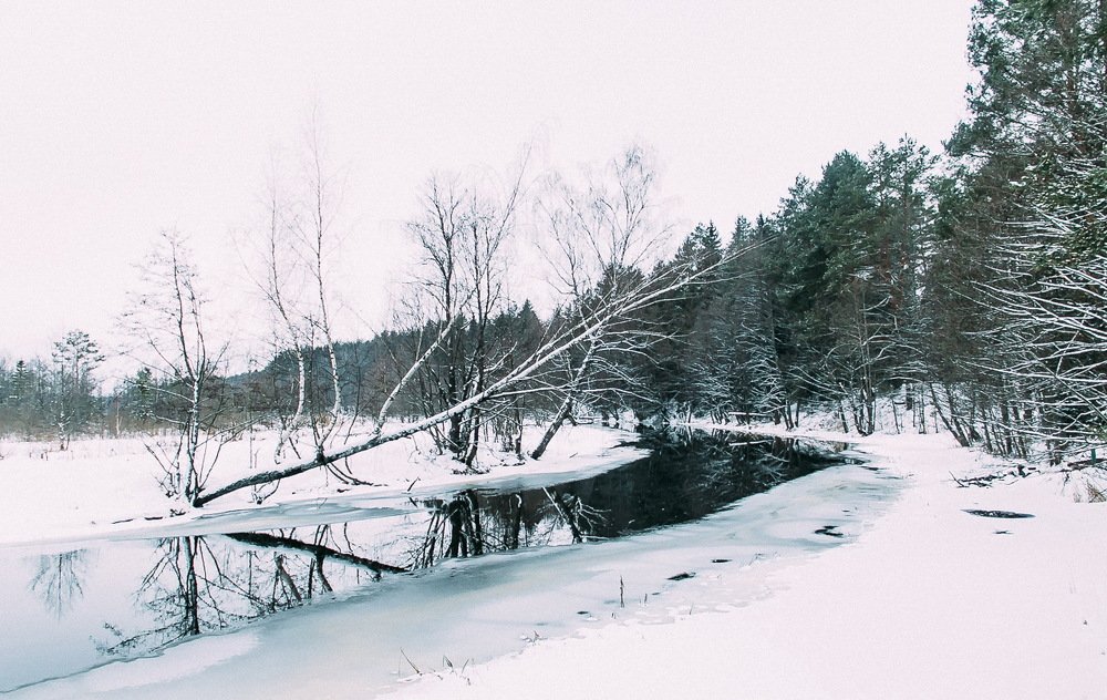 Зимний лес
