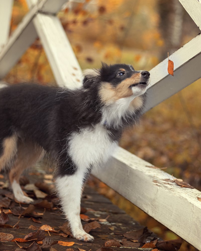 Photograph by Anna Sindikayeva