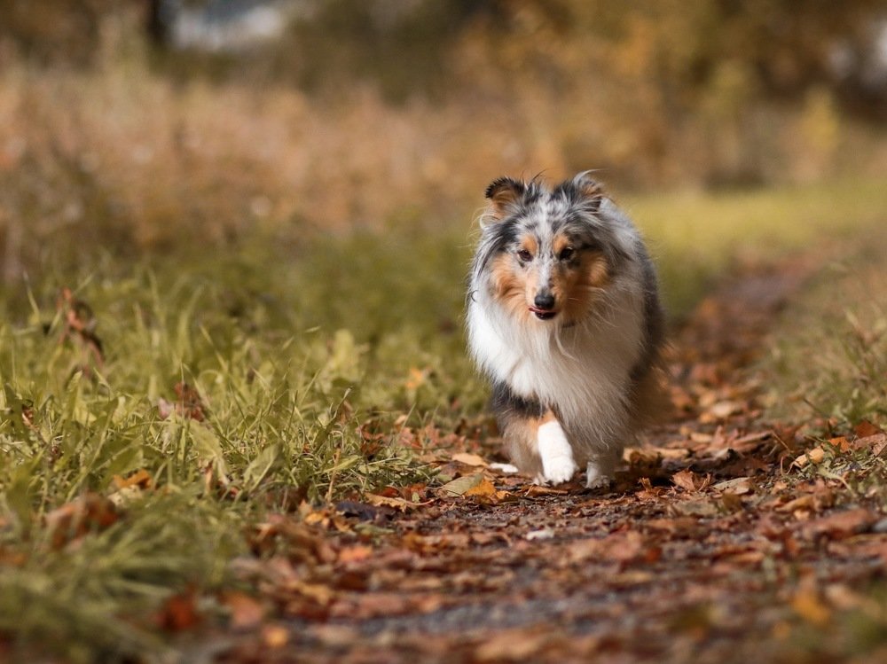 Photograph by Anna Sindikayeva