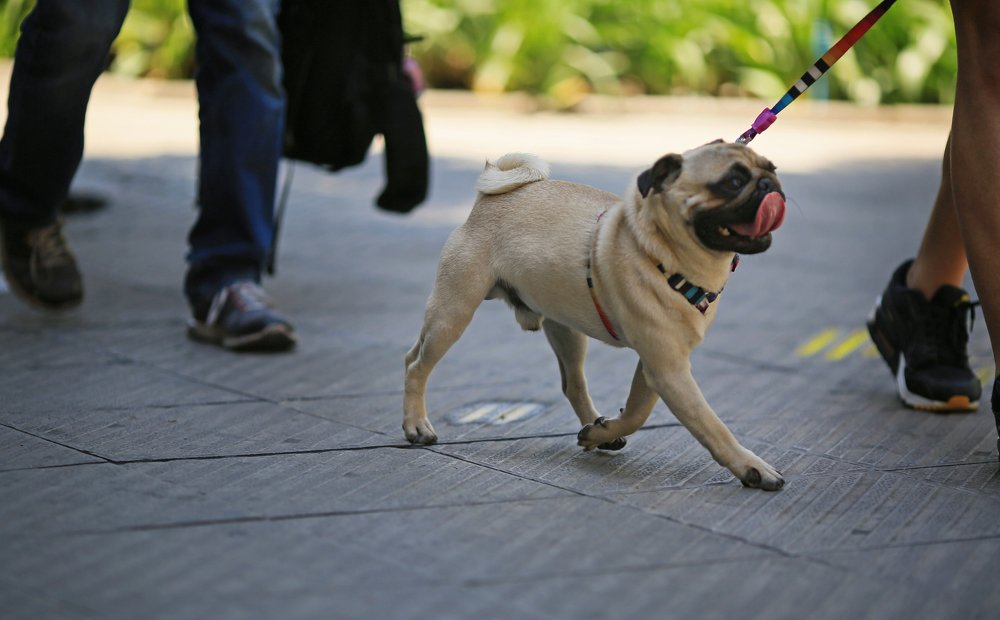 Photograph by Larisa Korsikova