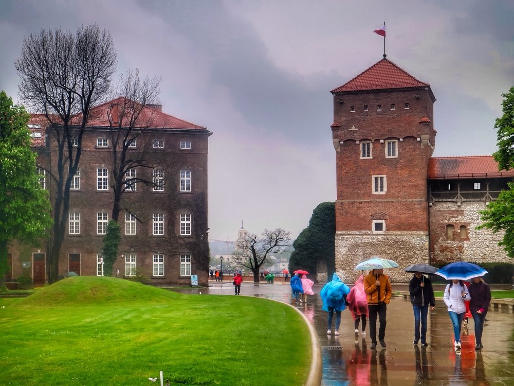 В любую погоду