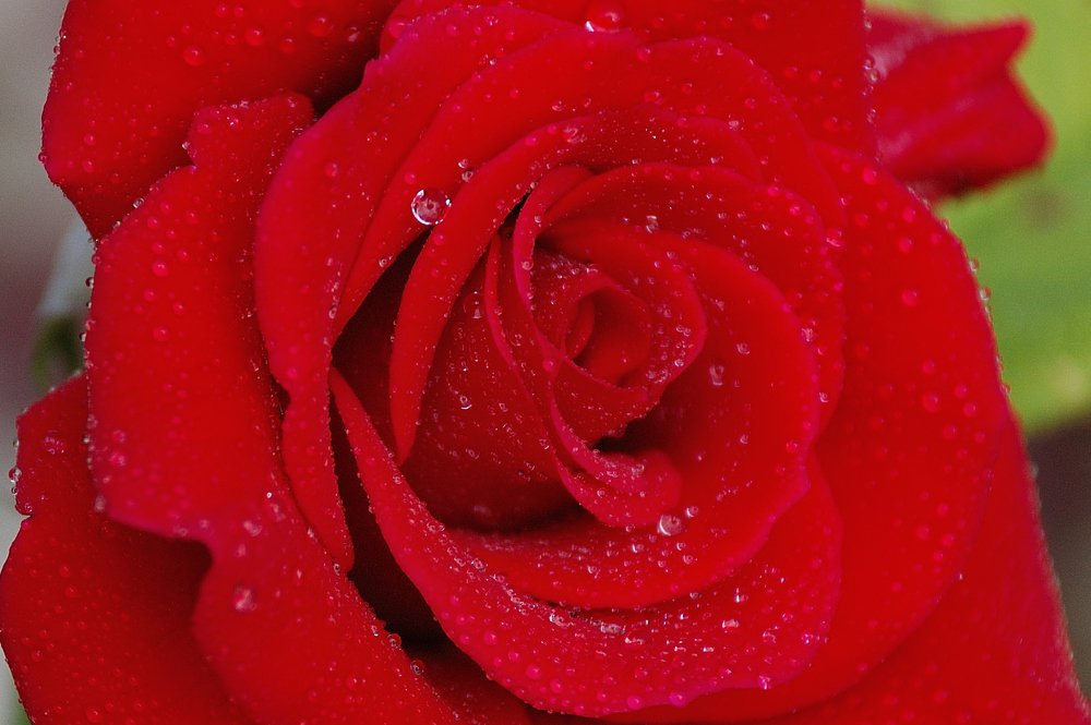 Фотография автора Teglaş Marin