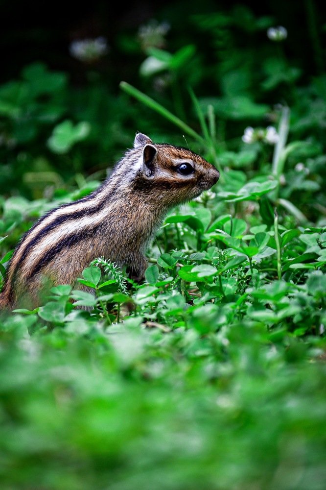 Photograph by Анна Белка