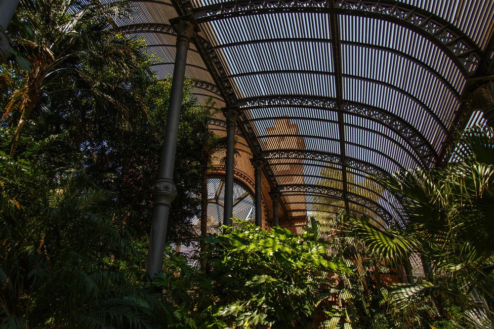 Photograph by Marie Dashkova