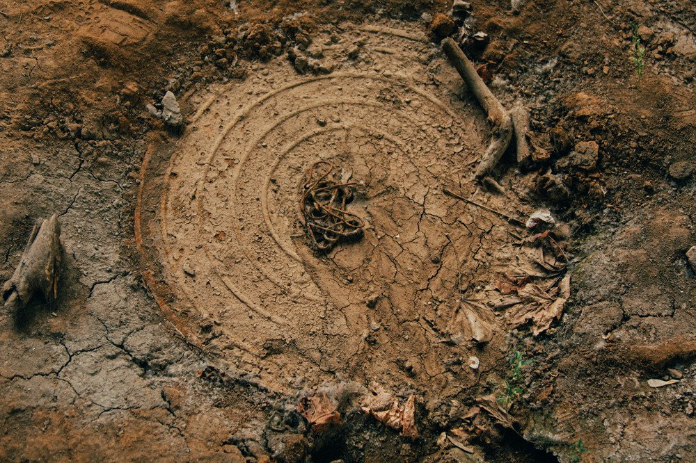 Photograph by Marie Dashkova