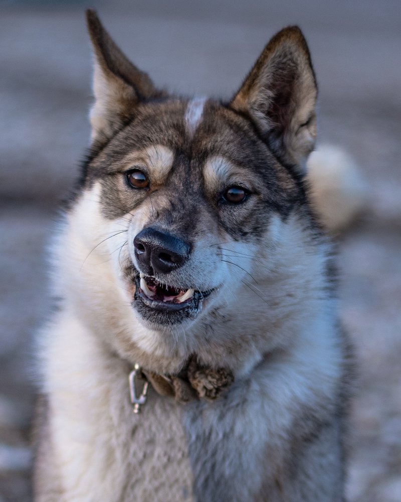 Photograph by Василий Иванов