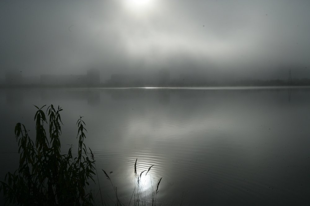 Белые ночи.